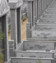茂名祖坟墓地出现这种现象，大事不妙，千万要注意了！